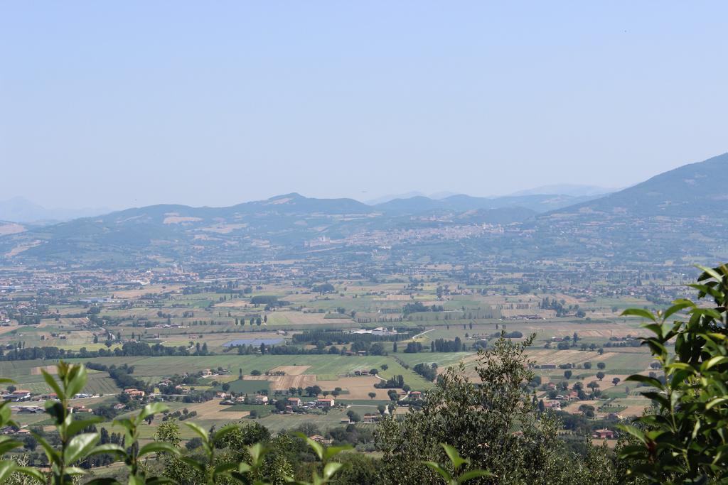 Società Agricola F.lli Angelucci Vila Cannara Exterior foto