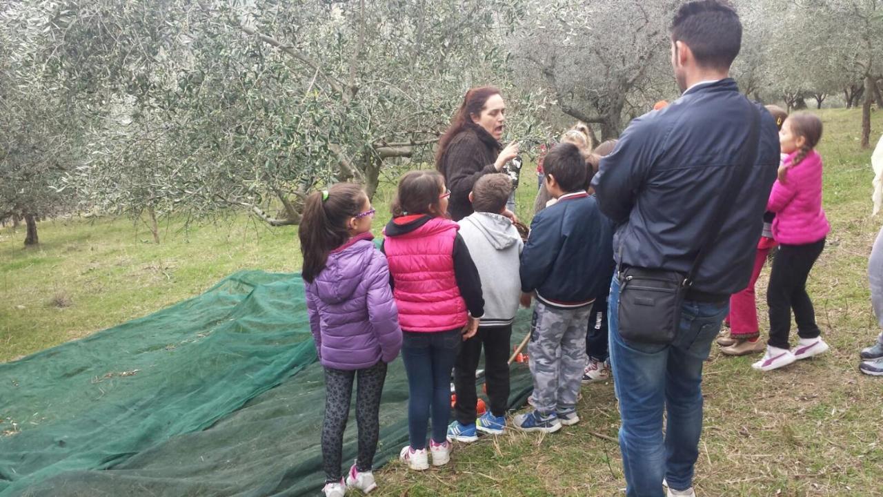 Società Agricola F.lli Angelucci Vila Cannara Exterior foto